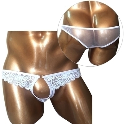 �a�����c���������@�Əo���z�[�����[�X�V���[�c�@�z���C�g