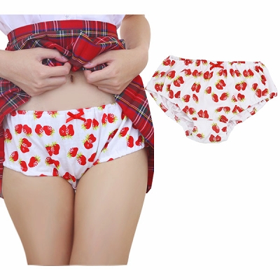 �[�^�������p���c�i䕃p���c�E�����������p���c�j