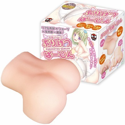 �V�g�̃V���[�c�@�Ղ肯�΁[����