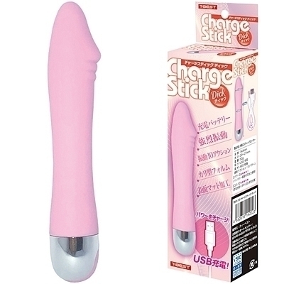 �`���[�W�X�e�B�b�N�@�i�f�B�b�N�j